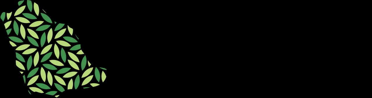 عارض 64