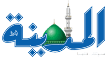 صحيفة المدينة